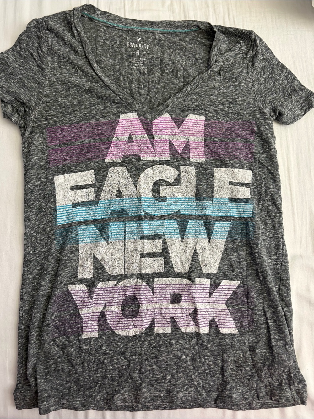 American Eagle Outfitters Gray V-Neck Graphic Tee